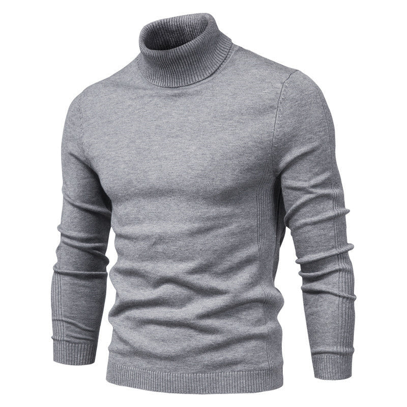 Joseph - Stylish turtleneck jumper